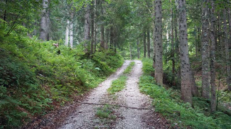 DSC00651