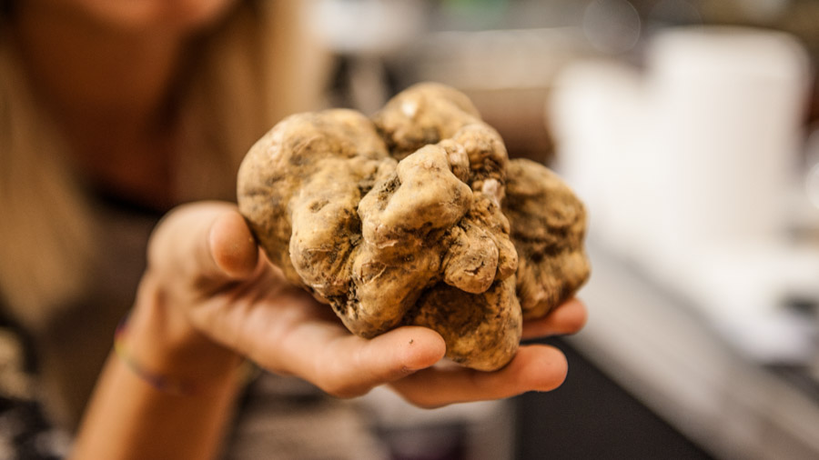 Mercato del Tartufo-0101