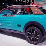 C4 Cactus M