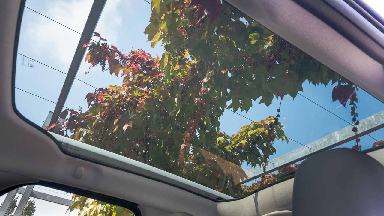 citroen_c4_cactus_rip_curl_16