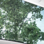 renault scenic 12