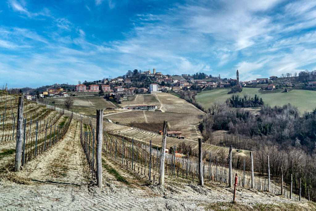 monforte