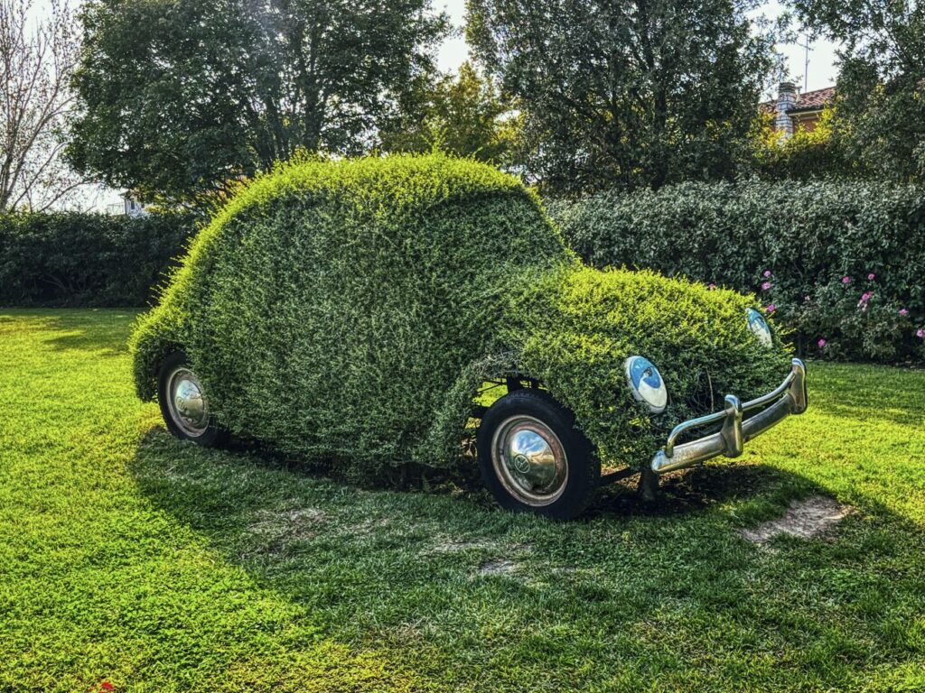 copyright autointhecity